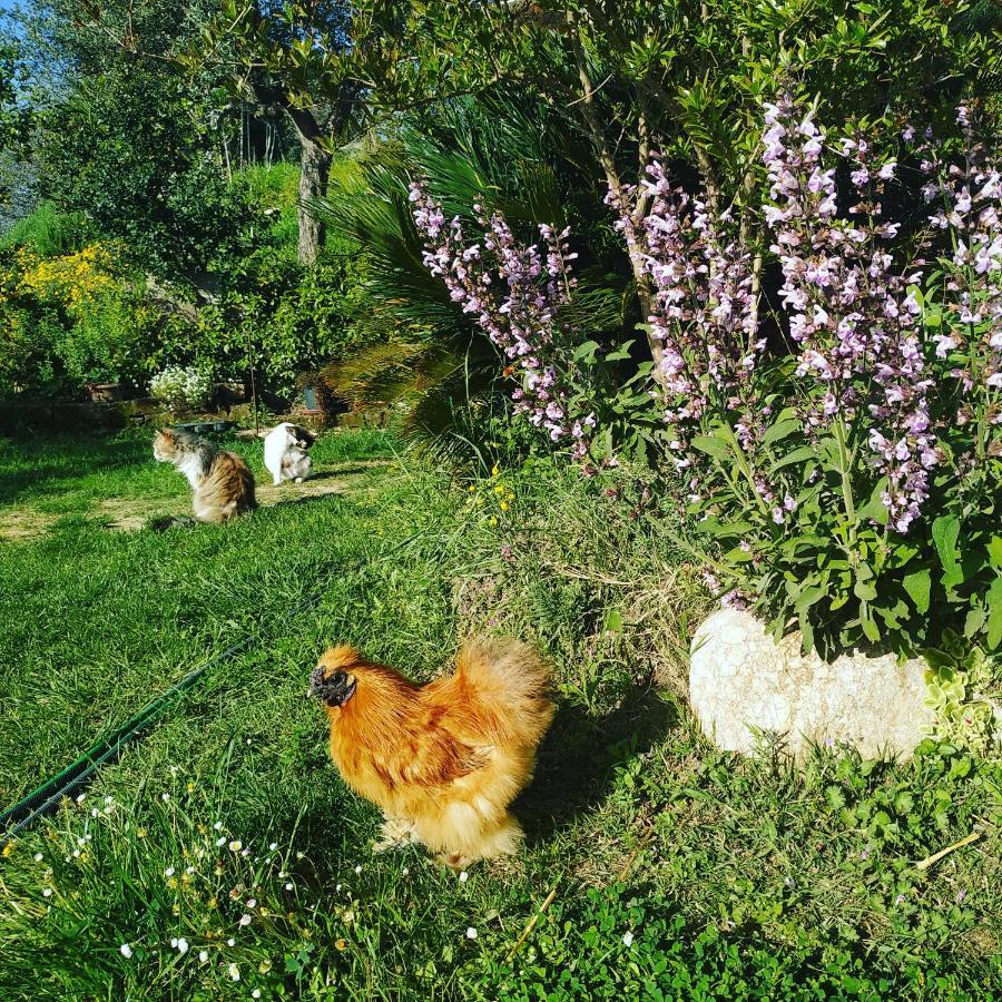Appartamento La Casa Di Stefania Pollutri Esterno foto