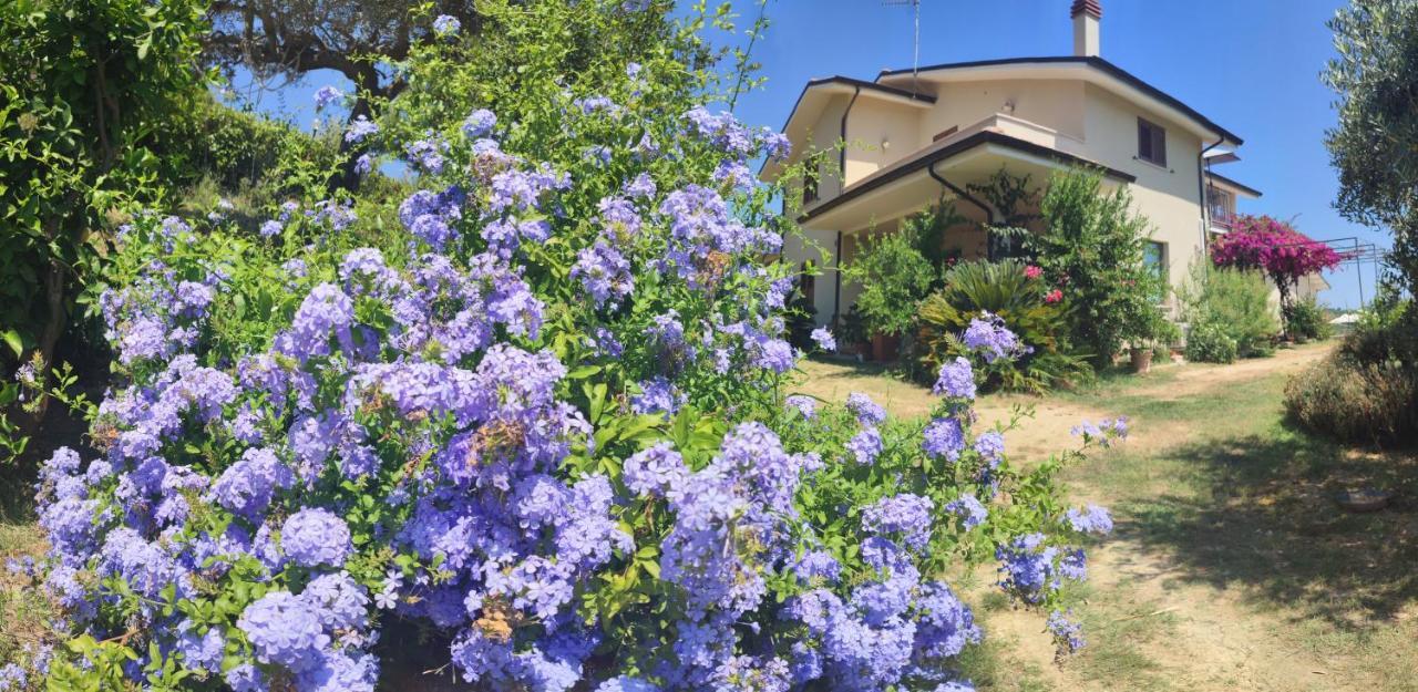 Appartamento La Casa Di Stefania Pollutri Esterno foto
