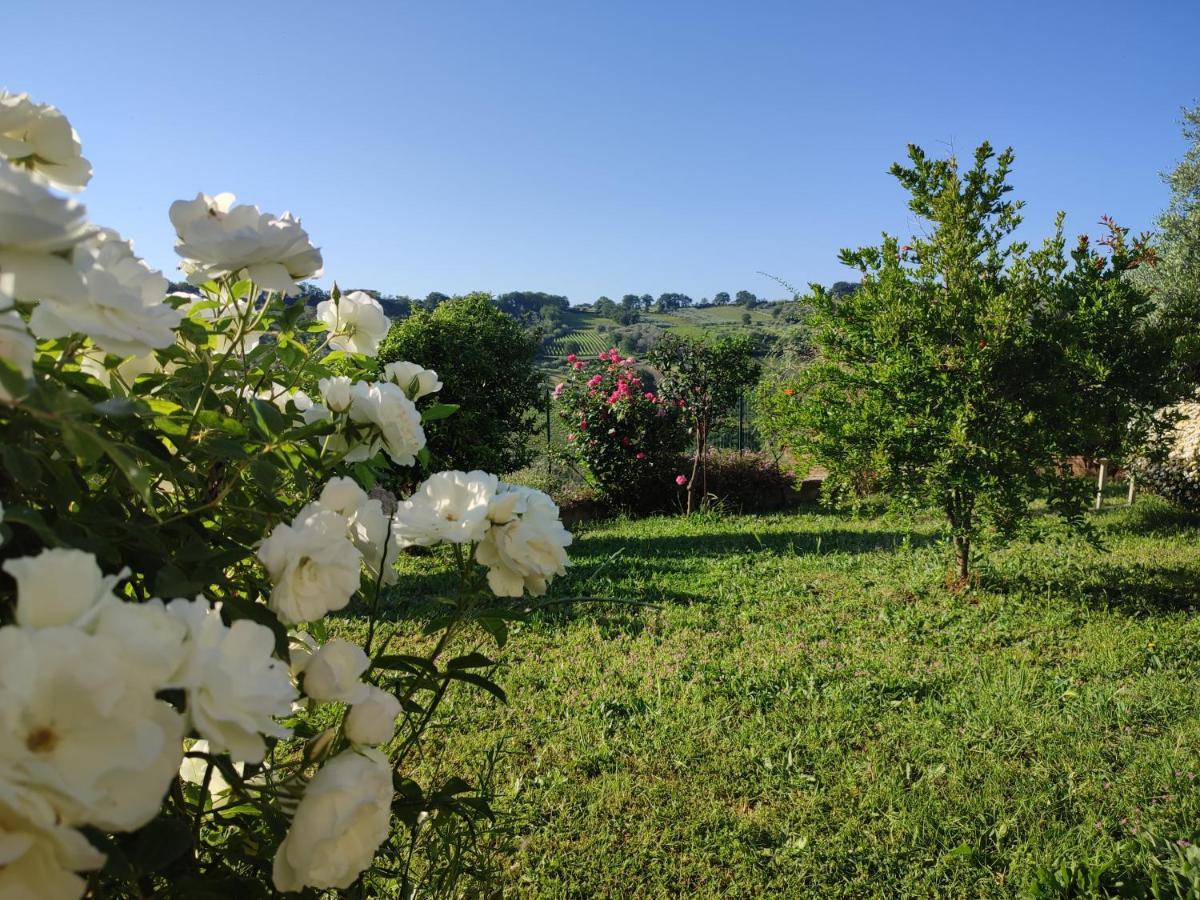 Appartamento La Casa Di Stefania Pollutri Esterno foto