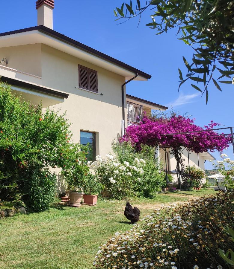 Appartamento La Casa Di Stefania Pollutri Esterno foto