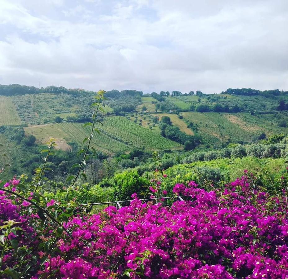 Appartamento La Casa Di Stefania Pollutri Esterno foto
