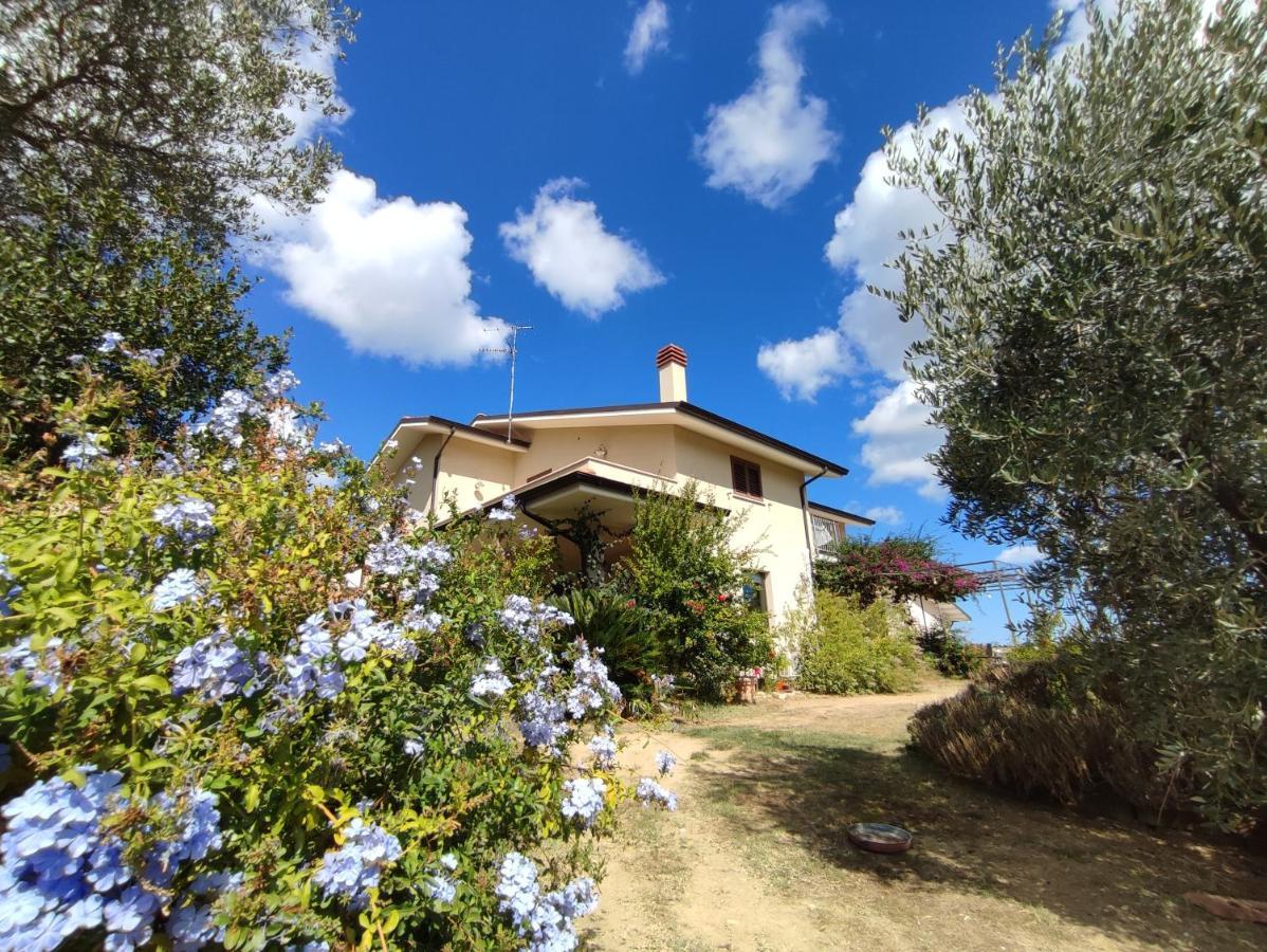 Appartamento La Casa Di Stefania Pollutri Esterno foto