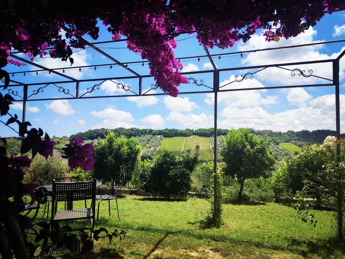 Appartamento La Casa Di Stefania Pollutri Esterno foto