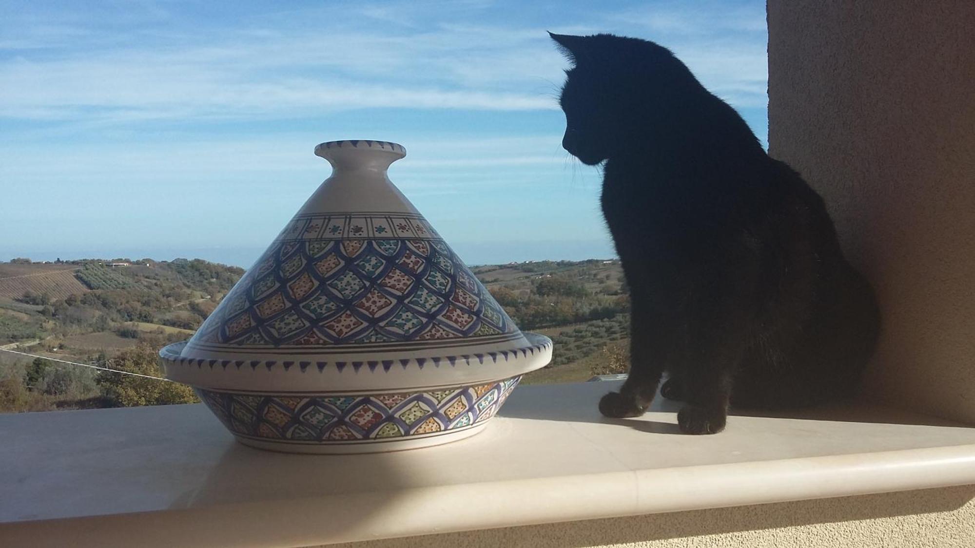 Appartamento La Casa Di Stefania Pollutri Esterno foto