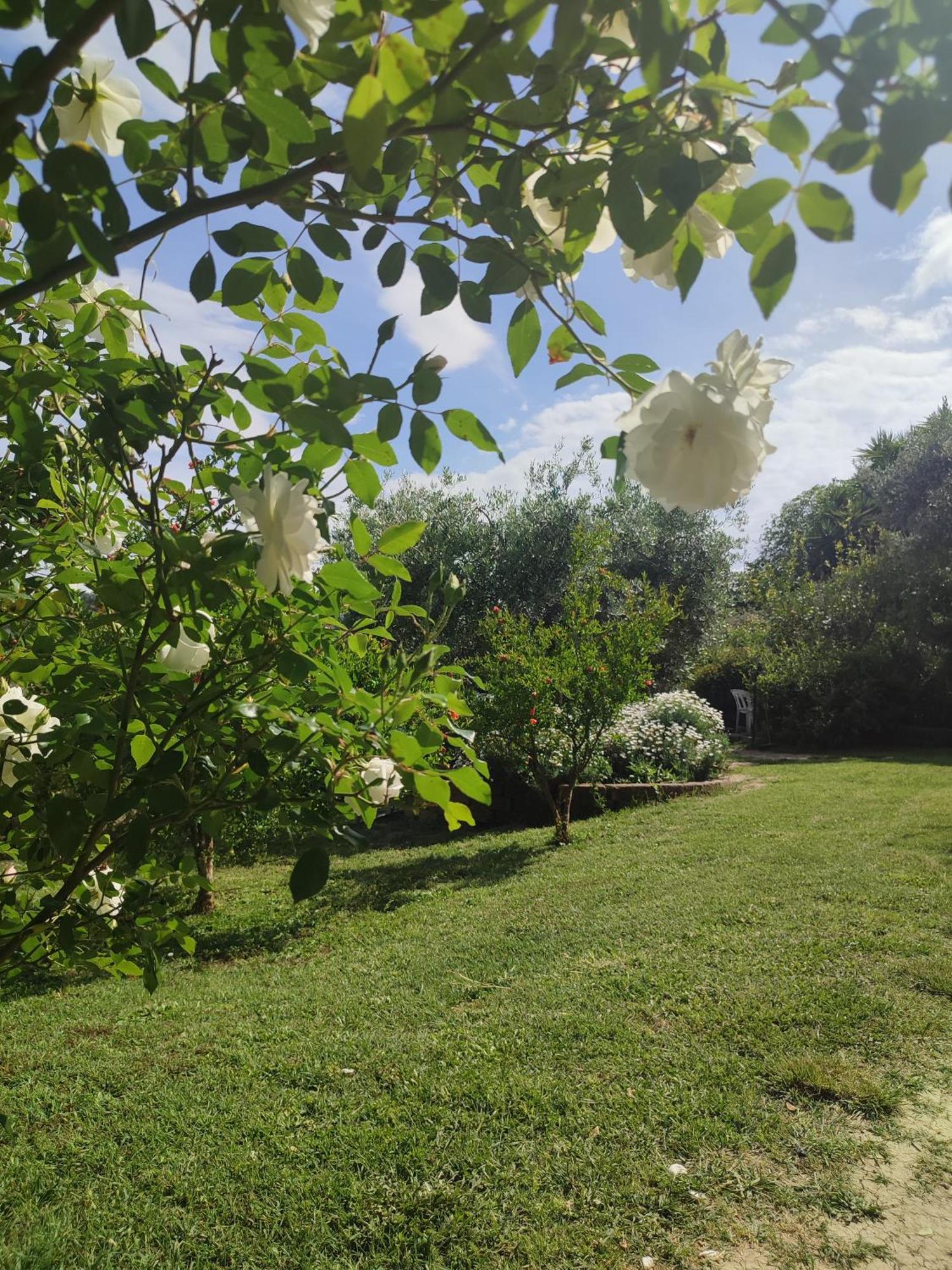 Appartamento La Casa Di Stefania Pollutri Esterno foto