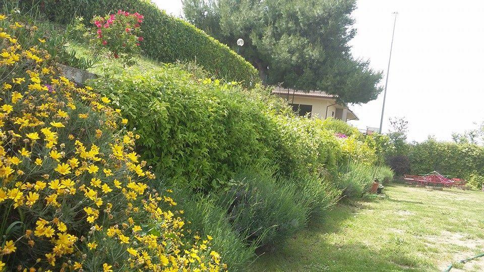 Appartamento La Casa Di Stefania Pollutri Esterno foto