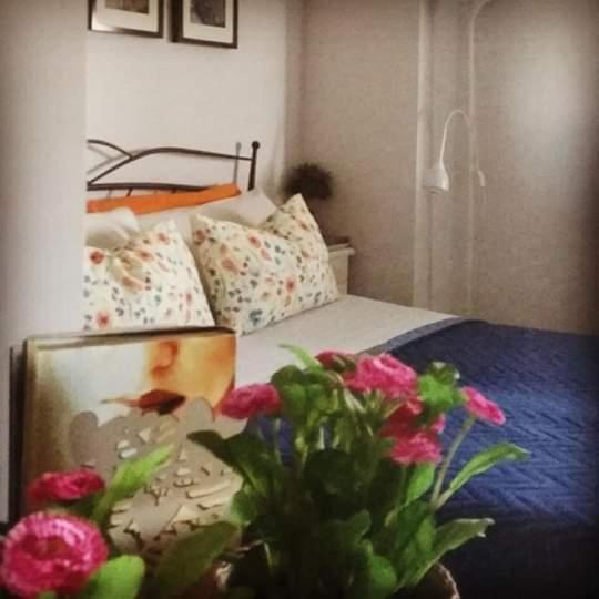 Appartamento La Casa Di Stefania Pollutri Esterno foto